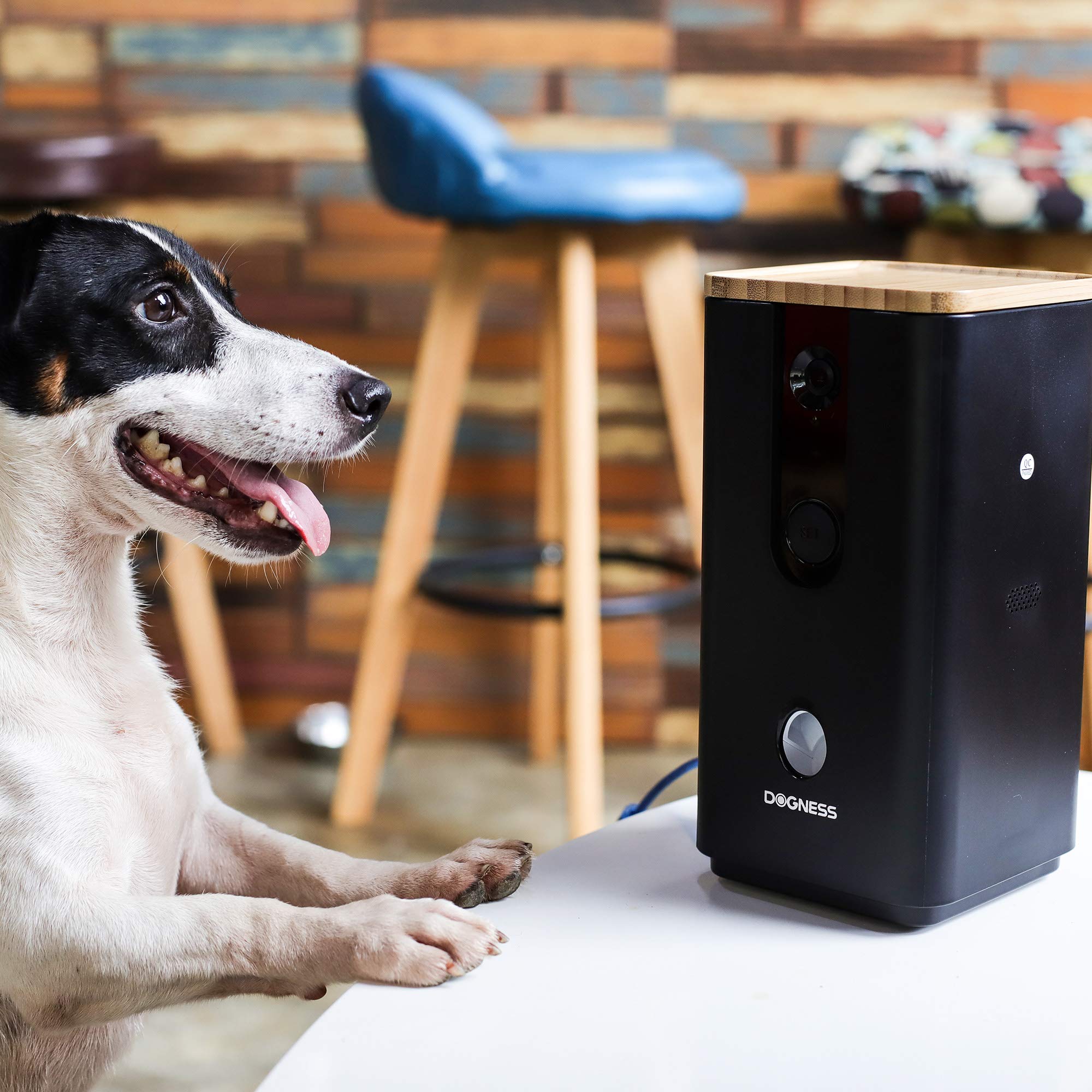 dog monitor with treat dispenser