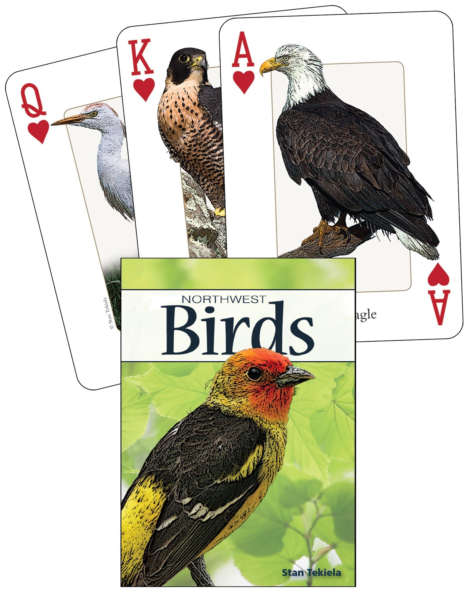 Birds of the Northwest Playing Cards (Nature's Wild Cards)