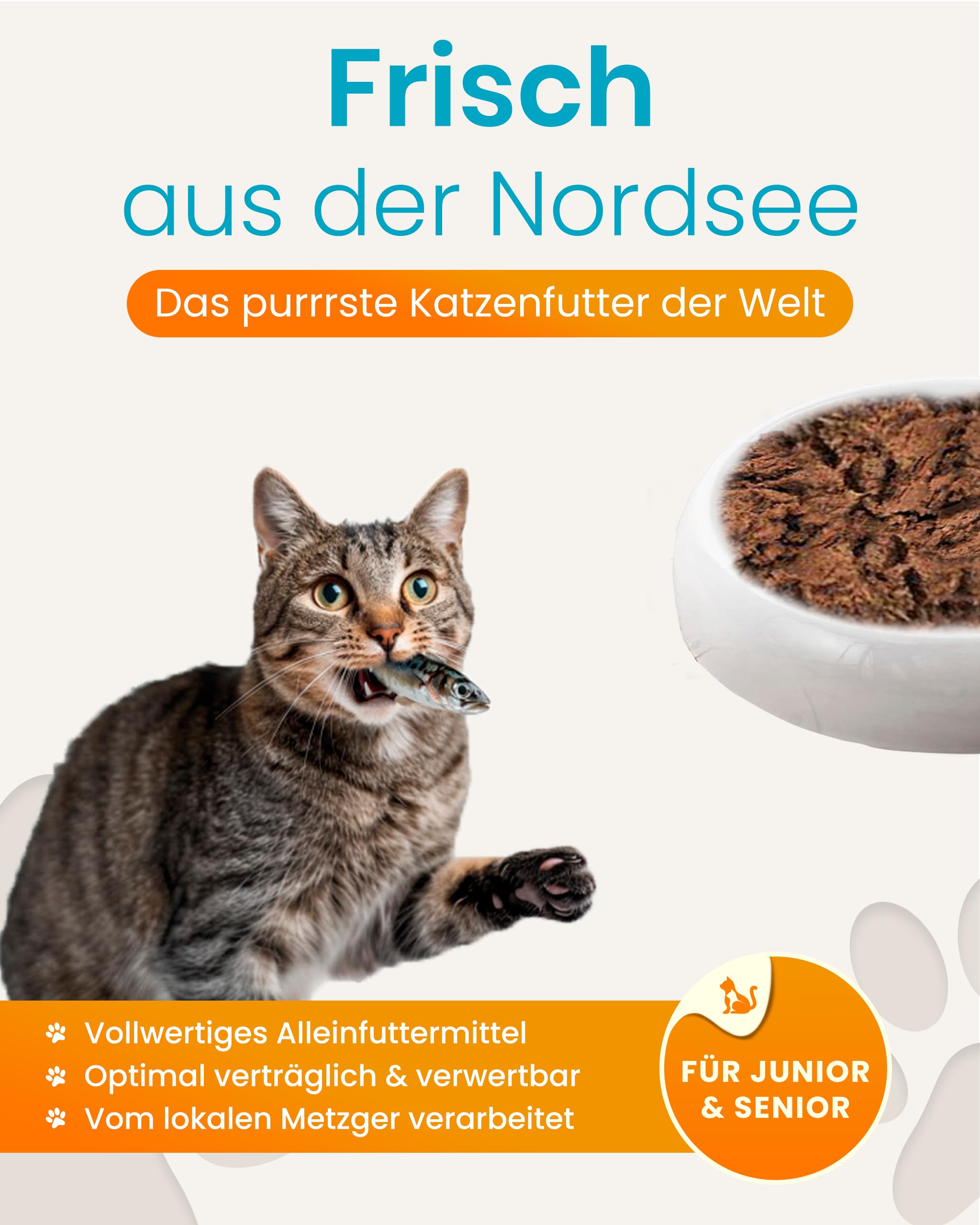 Lucky-Kitty Katzenfutter Nass, 95% ganzer Hering, Monoprotein, 16x200g | Ohne Getreide & Zucker, Lebensmittelqualität, Für Katzen & Kitten, Hering aus der Nordsee, Ohne Zusätze, Made in Germany