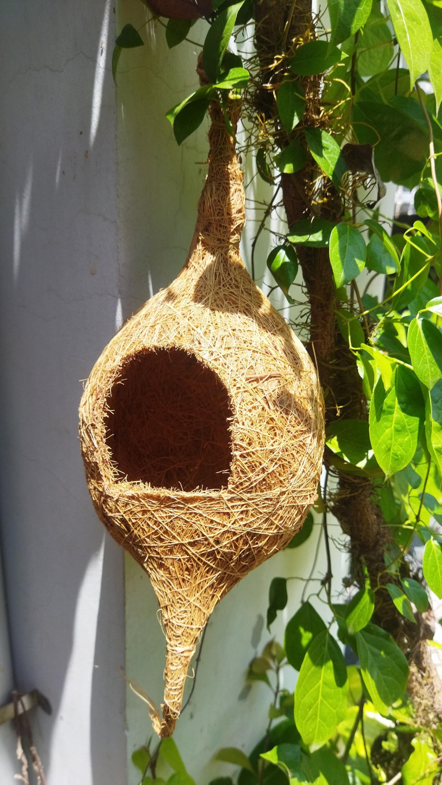 ZENRISE Coconut Fiber Cylinder Large Bird nest House for cage, Garden and Balcony Birds (Large) (B07L8JRGCQ) Amazon Price History, Amazon Price Tracker