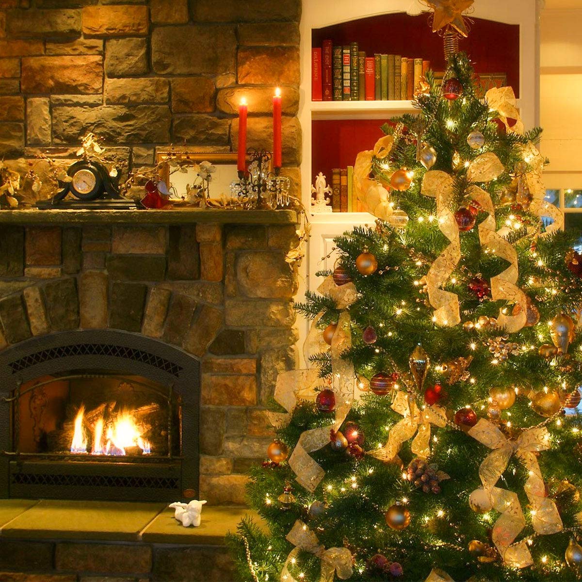 LE Guirlande Lumineuse 20M, 200 LED en Cuivre, Imperméable IP65, Lumière Etoilée, Blanc Chaud, pour Décoration Intérieure Extérieure, Jardin, Noël, Anniversaire, Mariage, Christmas