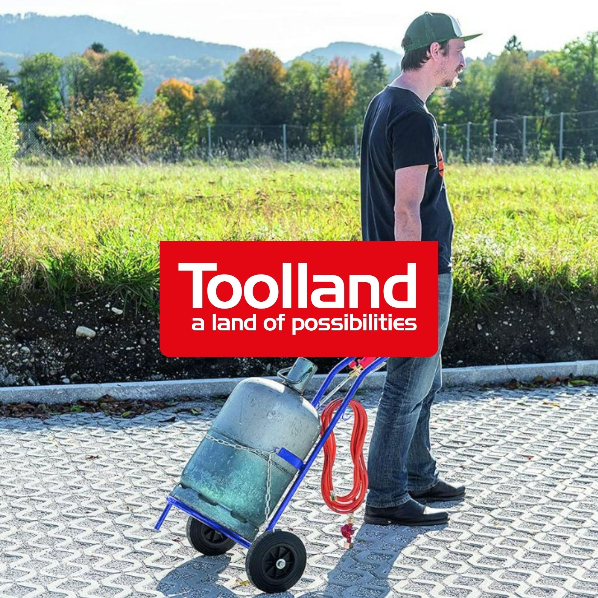 Toolland Chariot pour Bouteille de gaz Bleu 100 kg chaîne de sécurité réglable Cadre en Acier Inoxydable Grandes Roues 20 cm adapté aux Bouteilles de Propane Butane fûts de bière intérieur extérieur
