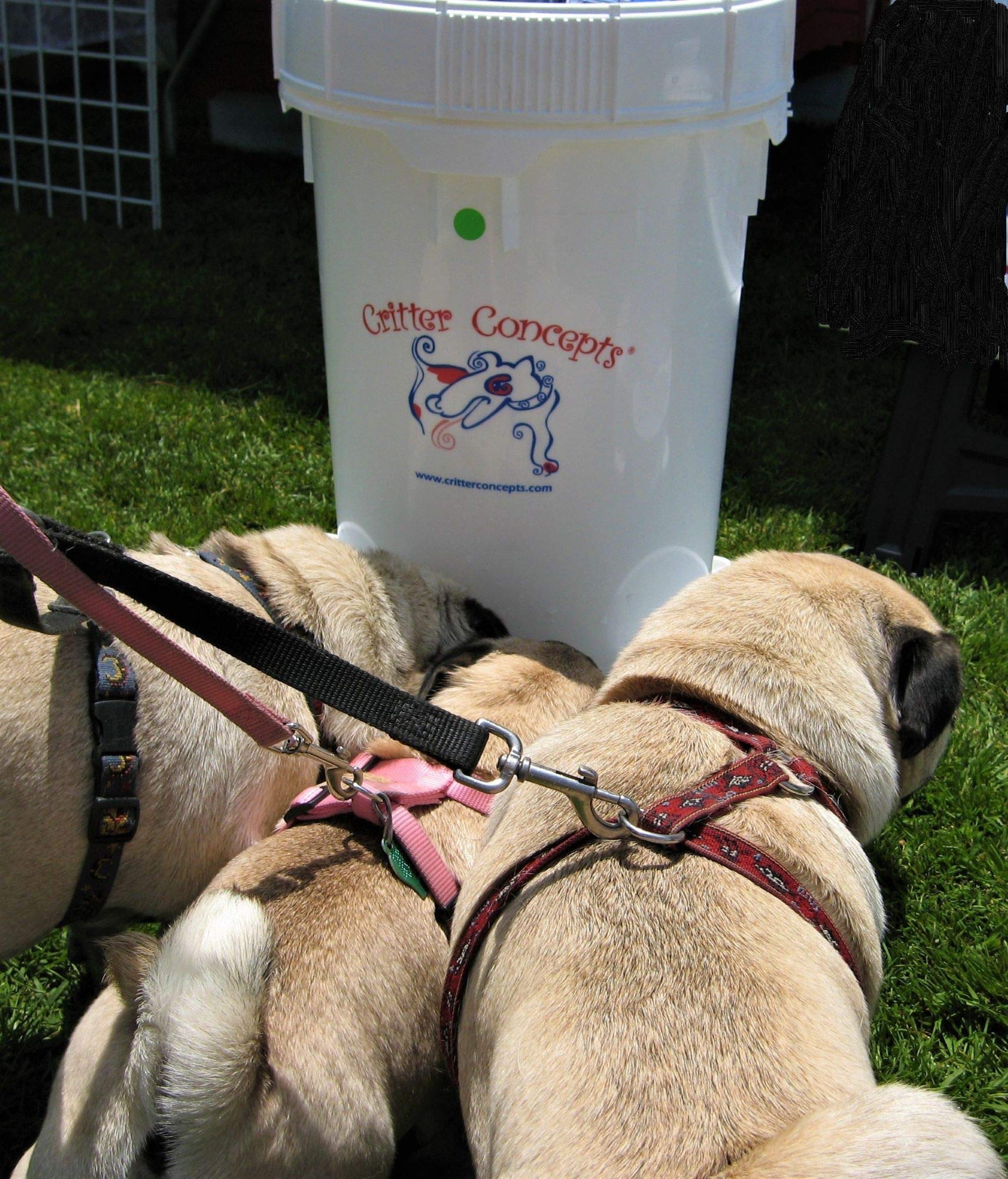 Buy Critter Concepts Large Dog Water Dispenser 6.5 Gallon All Day