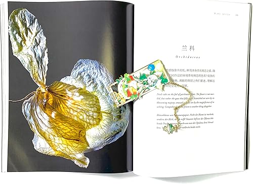 Miniatura 3 de Zllada Genshin Impact Nahida - Marcapáginas de metal con caja de exhibición 3D para mujeres, hombres, hermanas y amigos, regalos de cumpleaños