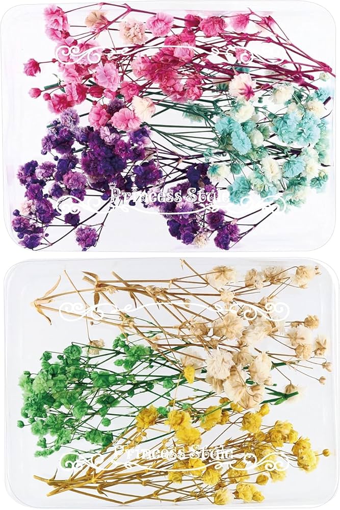 Amazon | Princess-style かすみ草 咲いた花 ドライフラワー