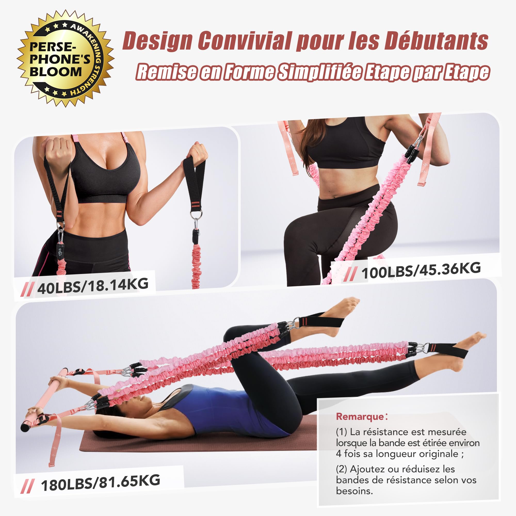 ALongSong Elastiques de Musculation Barre de Pilates avec 6 Bandes de Résistance Élastique 180LBS ou 240LBS Ancrage de Porte Réglable Amovible pour Sport Maison Fitness Yoga Étirement Squat