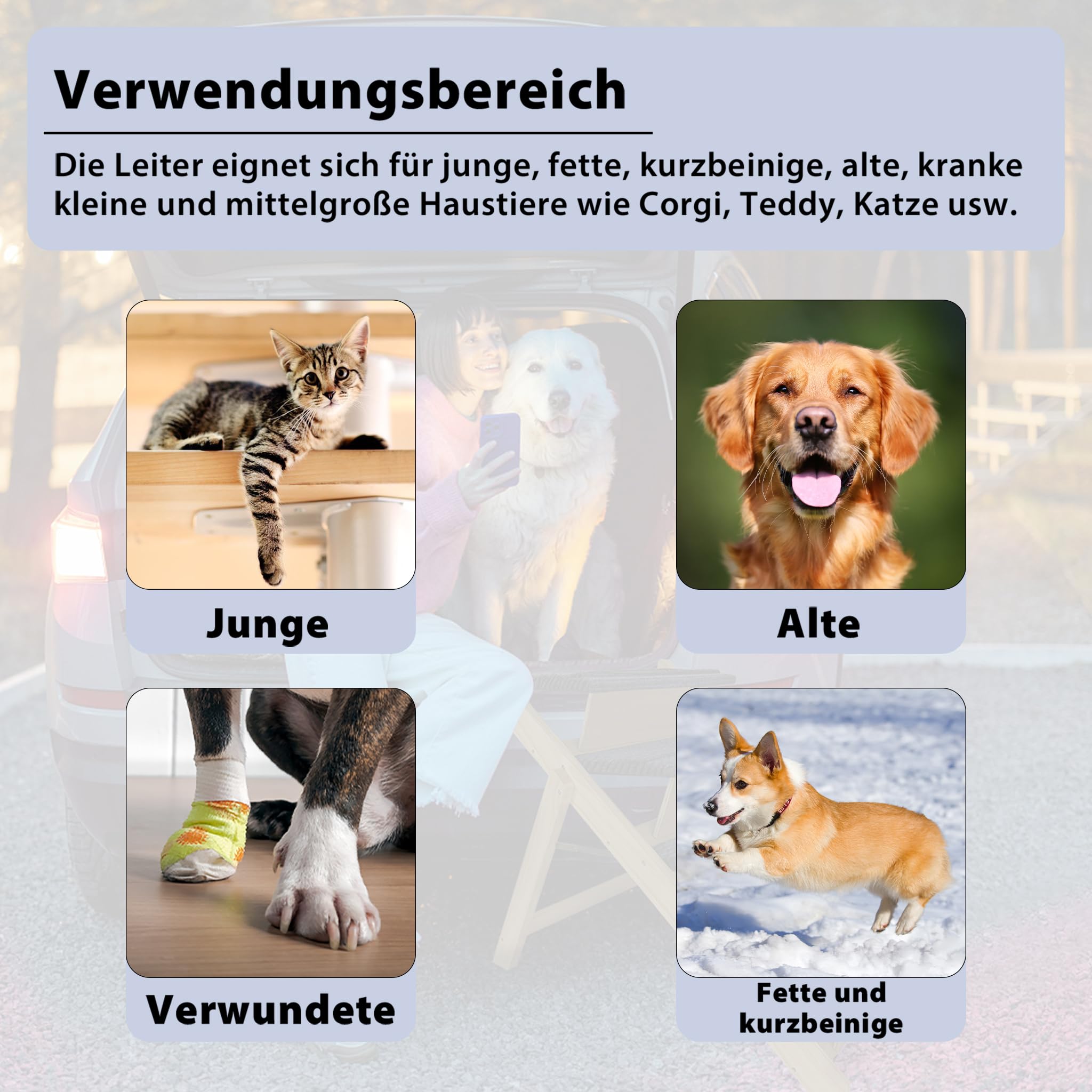 Hundetreppe Auto Klappbar Haustiertreppe aus Holz Tiertreppe mit Anti-rutsch Einsatz für Haustiere Einstiegshilfe für Kofferraum, Höhenverstellbar Autorampe bis zu 100 kg