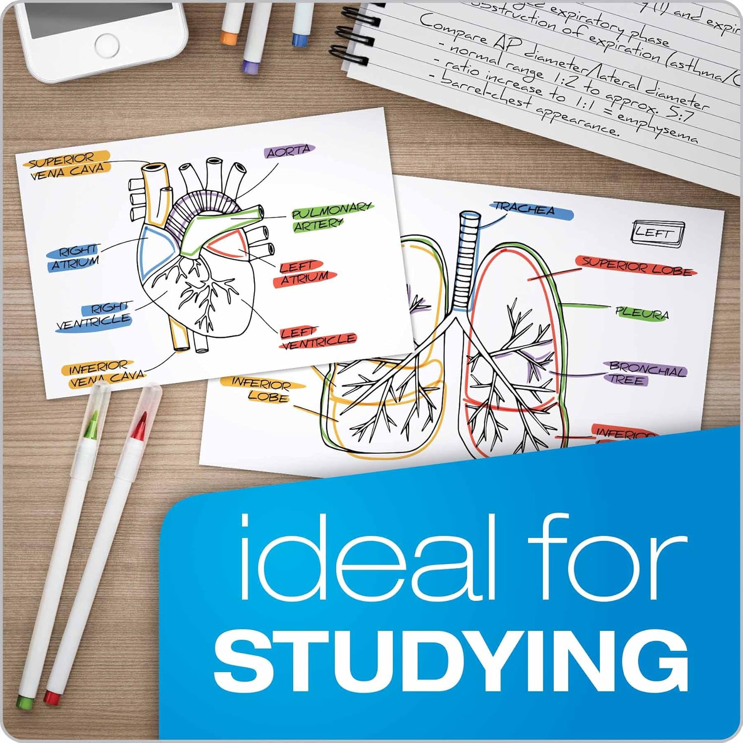 Oxford 50EE Blank Index Cards, 5" x 8", White, 500 Cards (5 Packs of 100) (50) : Index Card Supplies : Office Products