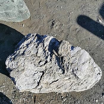 秩父産石灰岩　庭石　鑑賞石　石　オブジェ　インテリア　ガーデニング　原石　庭 秩父産石灰岩 庭石 鑑賞石 石 オブジェ インテリア ガーデニング