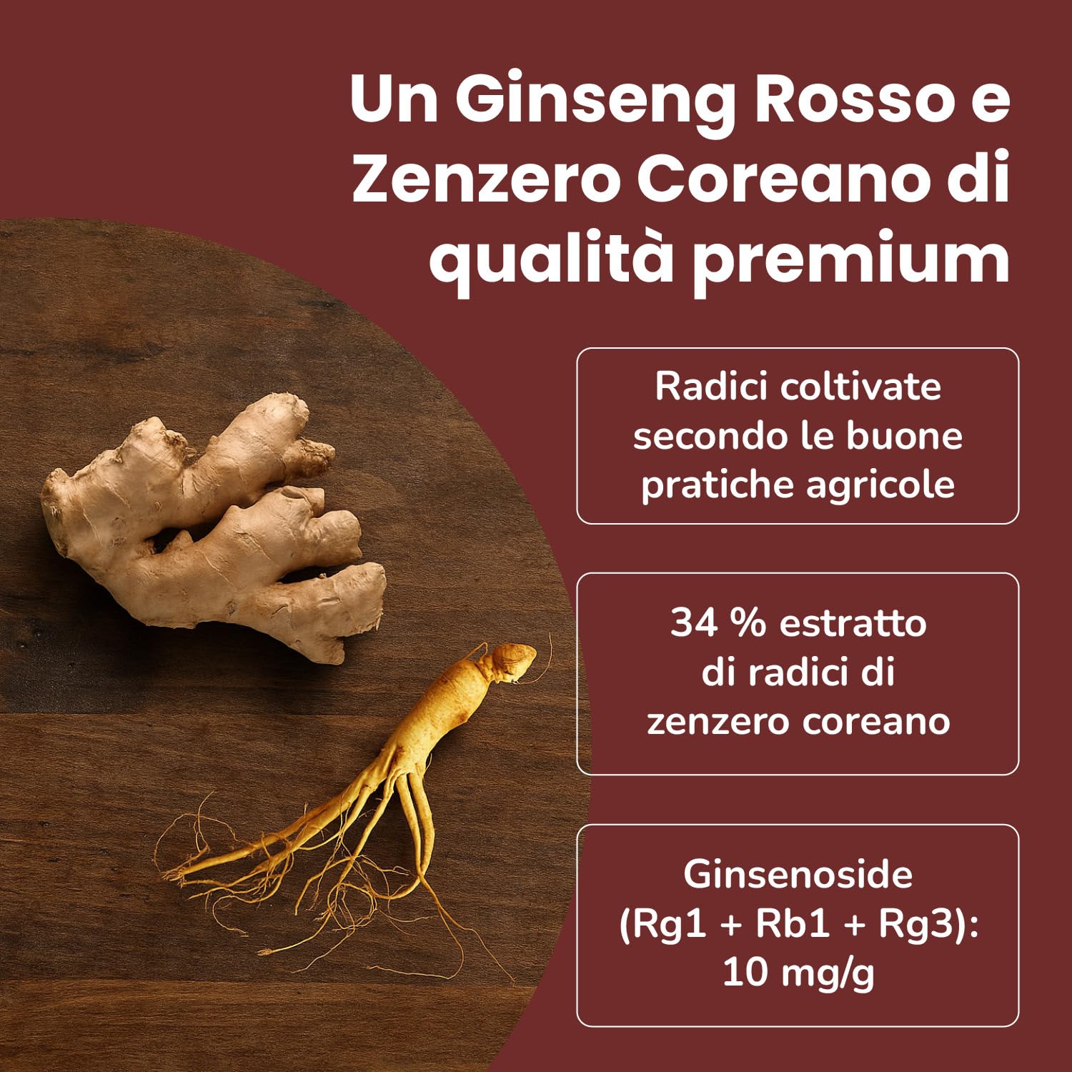 SAMSIDAE - Ginseng Rosso & Zenzero Coreano, Ginseng titolato 10 mg/g, Energia, Digestione, Immunità, Cucchiaino Incluso, Qualità Superiore, Trattamento di 1 Mese, 50g