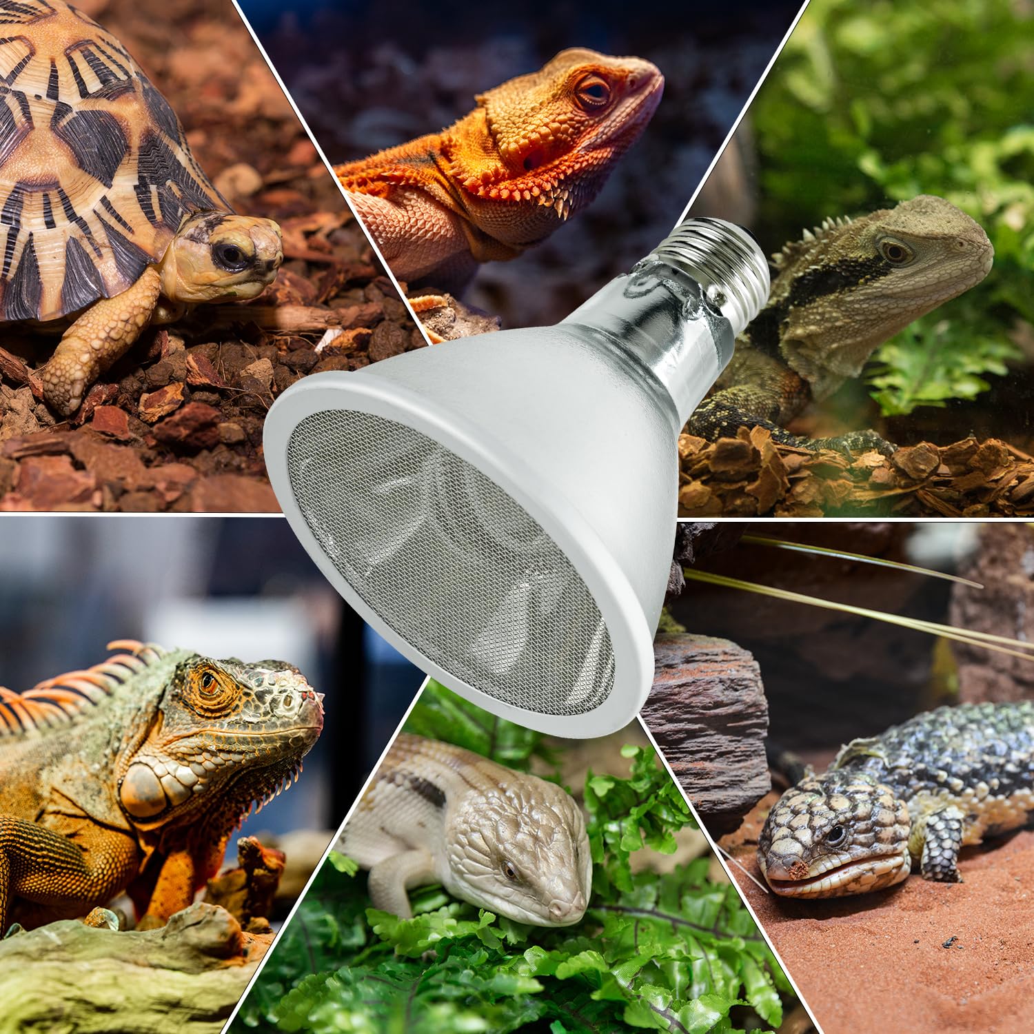 REPTI ZOO Reptile Basking Heat Lamp Bulb, 100W Splashproof Energy Saving Deep Heater Non-Luminous Carbon Infrared Heat Bulb for Reptile Amphibians - image 8