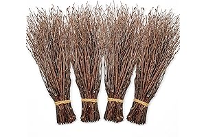 100% Natural Manzanita Branches
