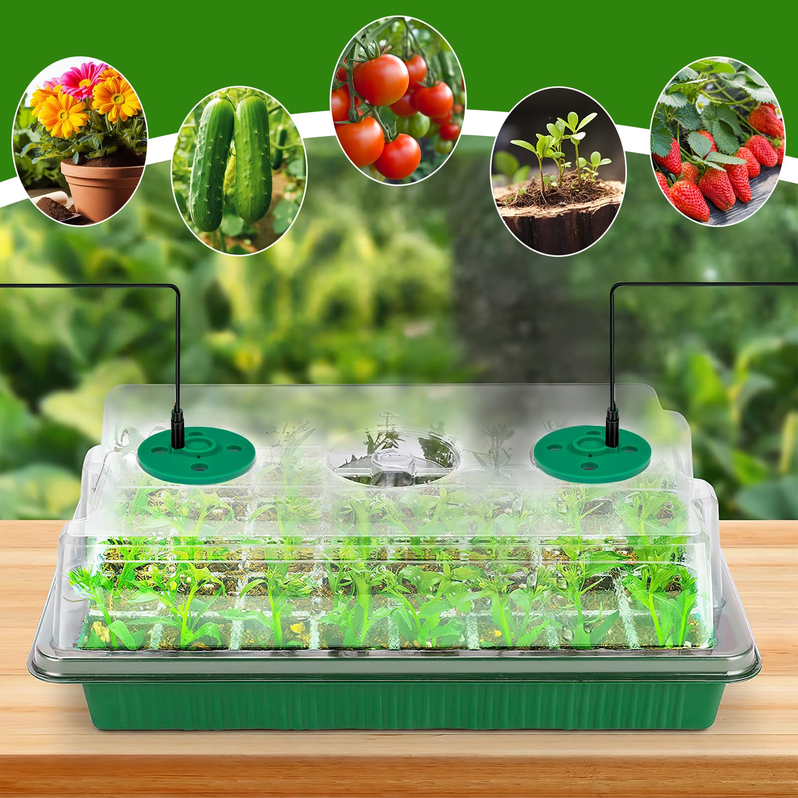 Mini Serra Con Luce Per Germinazione - 5 Vassoi Semina Con Timer, Coperchio Trasparente - Foto 10