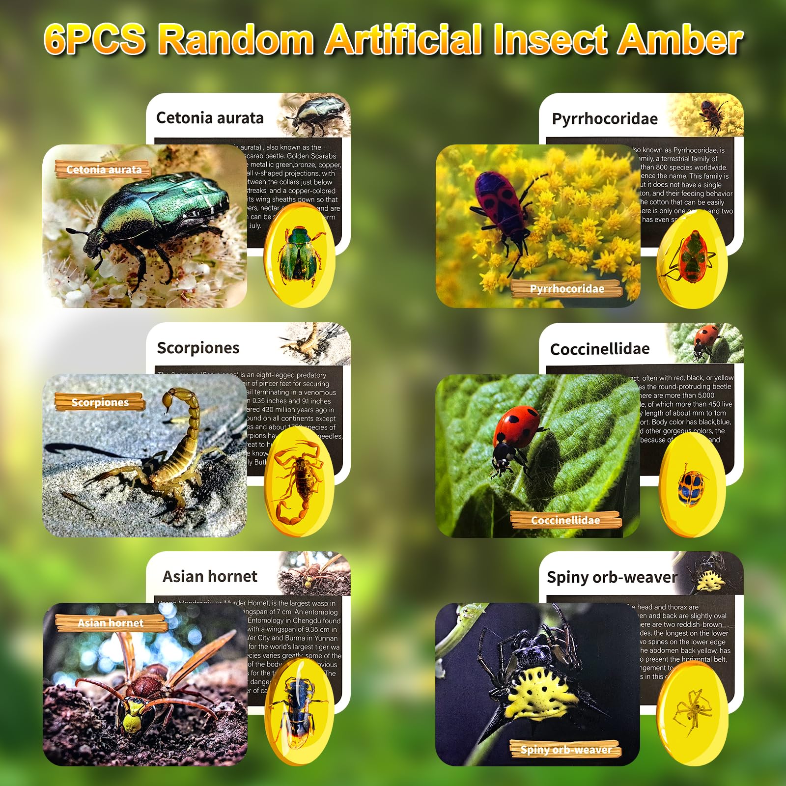 ALEENFOON Amber Fossil Dig Kit, Kids Insects Specimens Excavation Kit with Digging Tools & Booklet Record Pages - Image 2