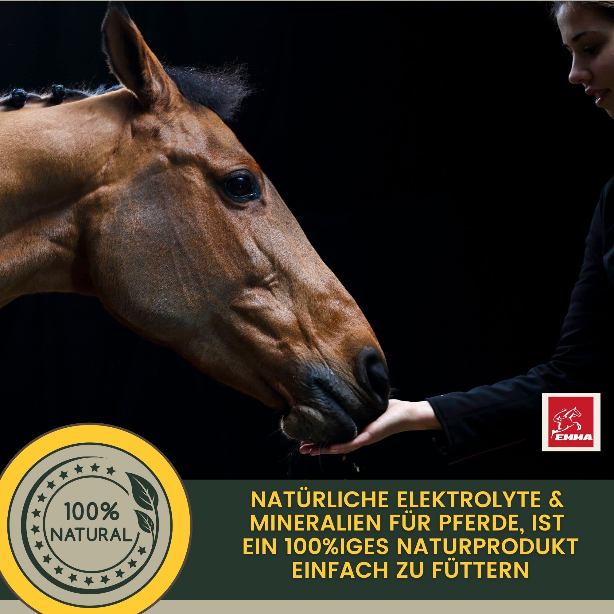 Pferde Elektrolyte Pulver & Aminosäuren komplex I Elektrolyt Pulver Kalium Natrium Calcium Magnesium Elektrolyten Aminosäuren Pferd I Elektrolyte Pferd Hydraid bei Durchfall Kotwasser Schwitzen 700g