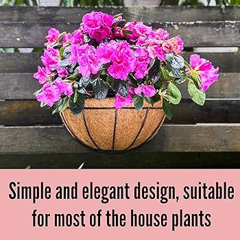 Amazon.co.jp: LaLaGreen 壁掛けプランター 2個パック 12インチ