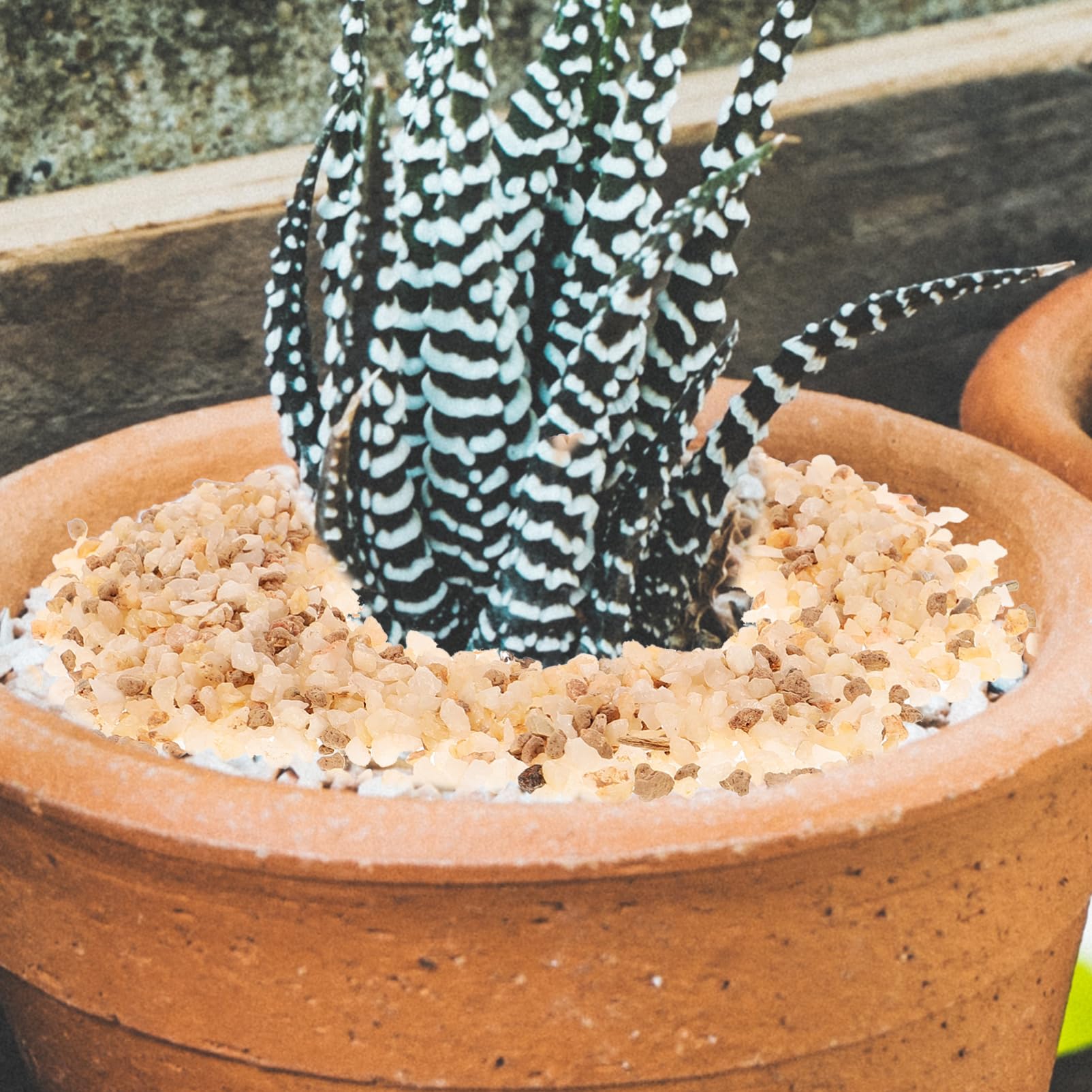 YARNOW Saco De Piedras Decorativas para Suculentas y Cactus Mezcla De Grava De para Jardinería Sustrato Natural para Plantas En Macetas