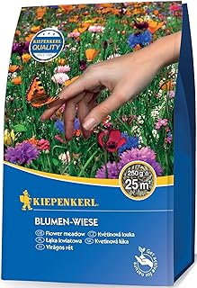 Kiepenkerl Blumen-Wiese