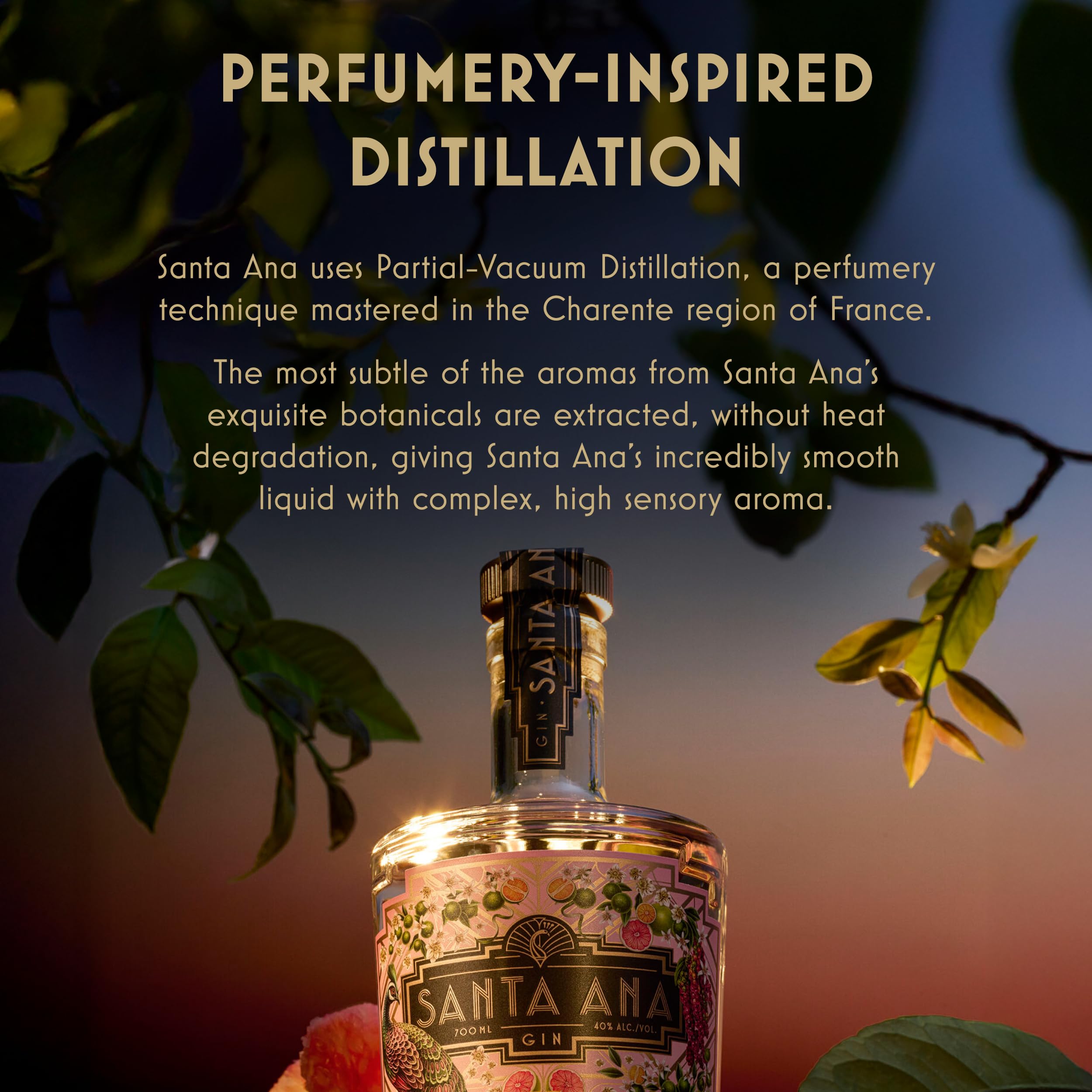 Santa Ana Gin Pomelò 70cl