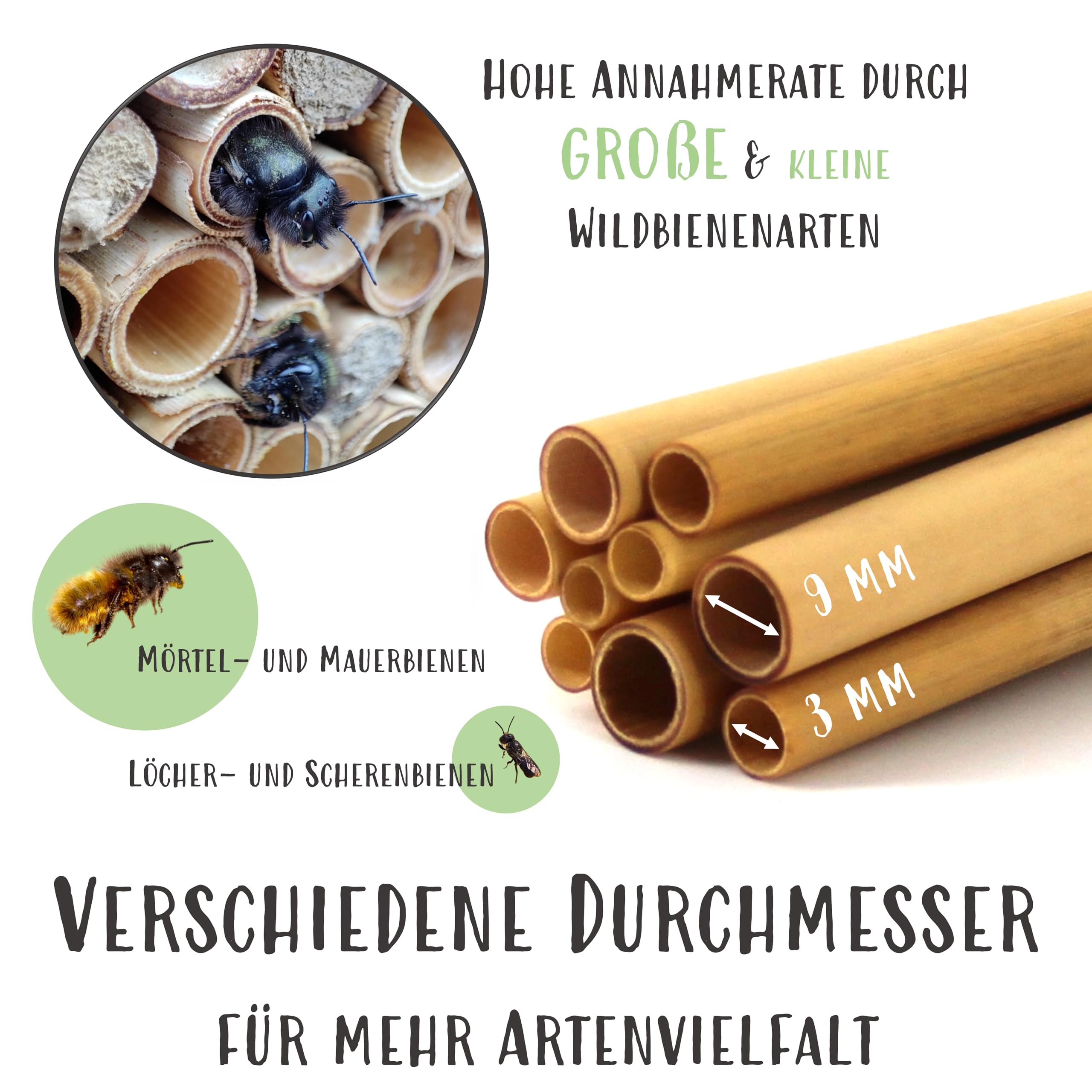 Schilfröhrchen für Insektenhotel & Bienenhotel 12cm - 400 Stück