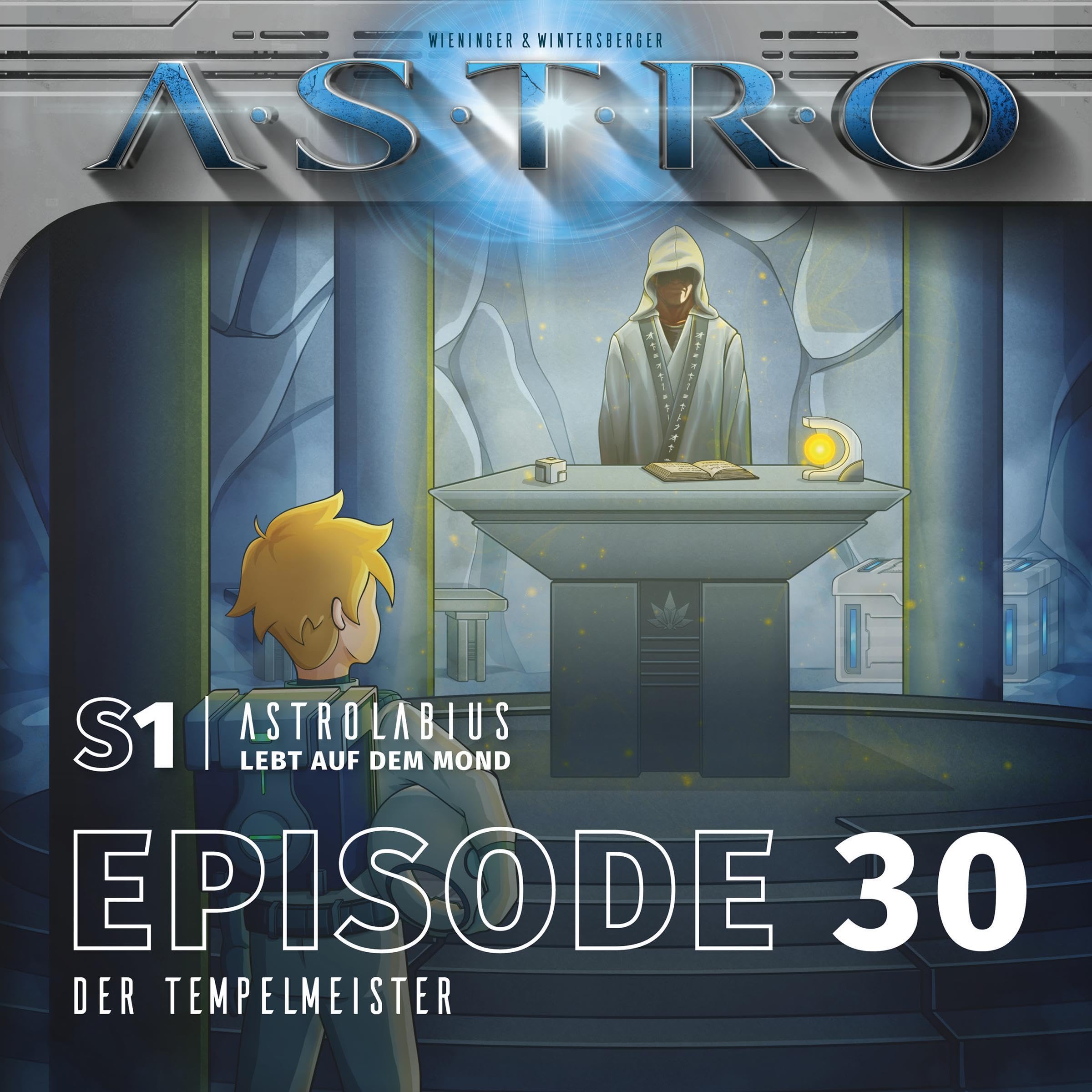Cover art for Der Tempelmeister