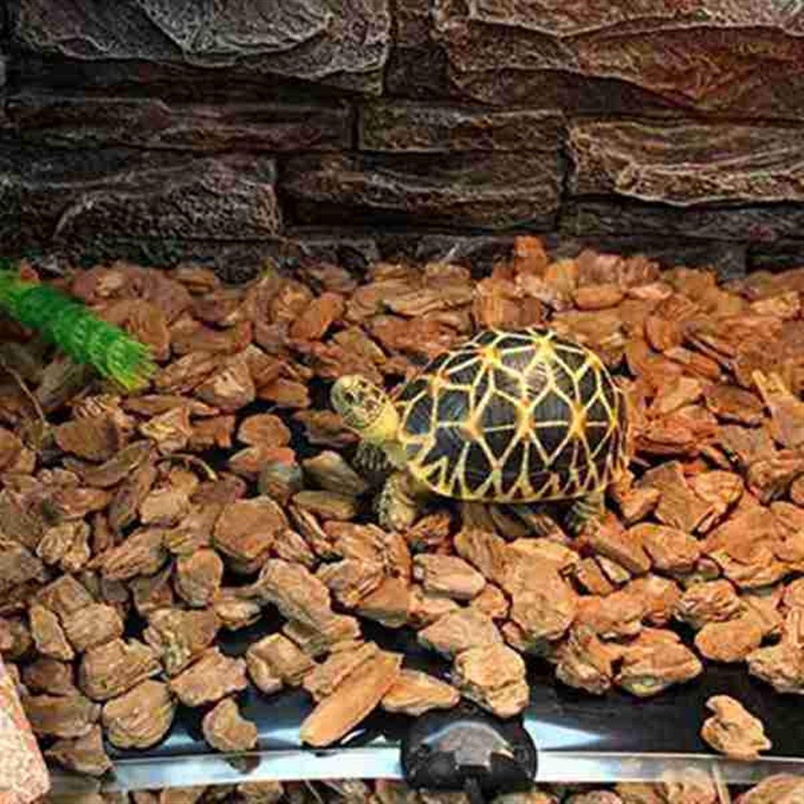 Calentadores de manos Terrario Reptiles Calor Alfombra 7W Escalada Mascotas Cojines Calefacción Reptiles Eléctricos Manta Reptiles Suministros