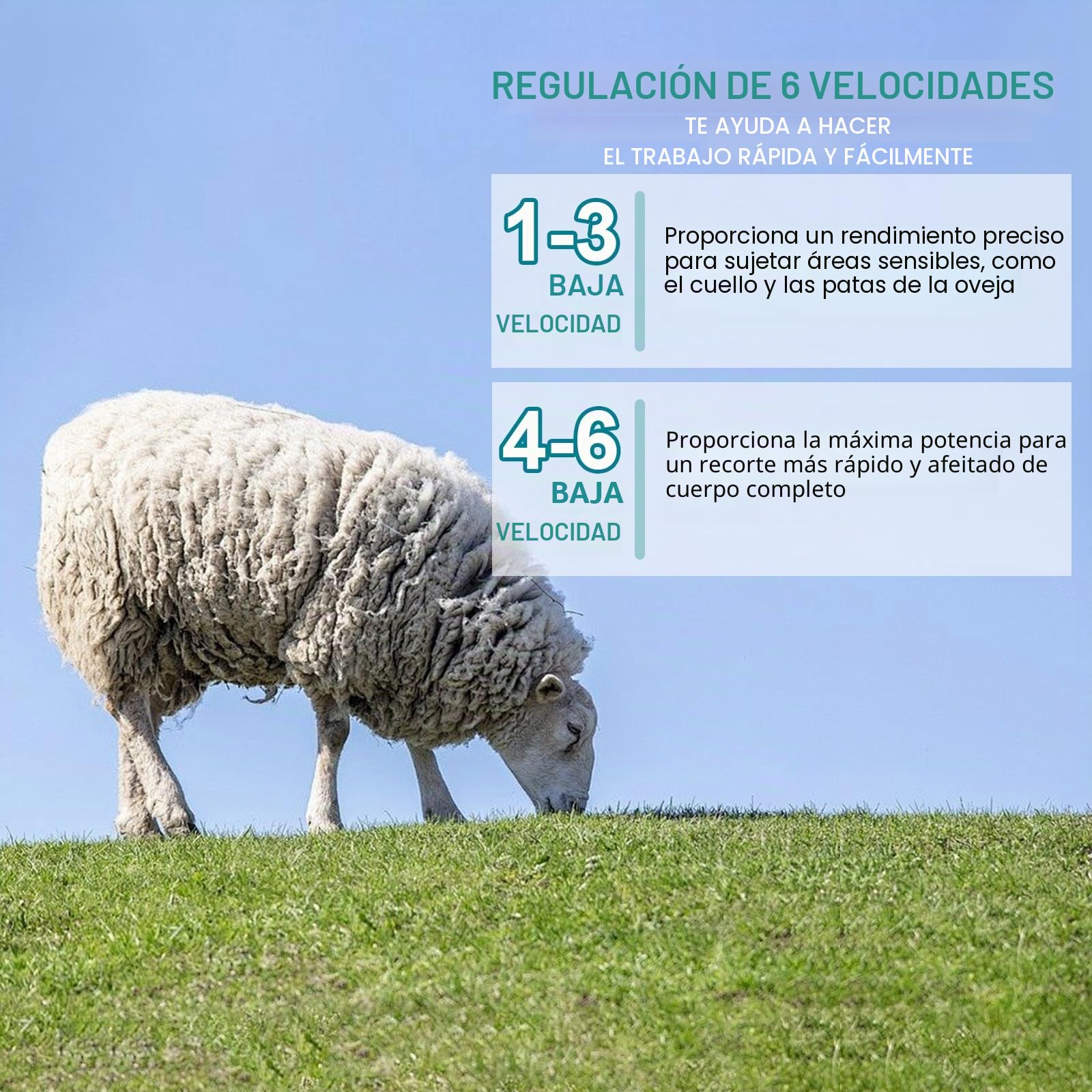 Cortadora de Lana para Ovejas Inalámbrica, Máquina de Esquilar Compatible con Makita 18V, 2400RPM, Tijeras Eléctricas para Ovejas con 2 Cuchillas y Caja de Plástico, 6 Velocidades (SIN Batería)
