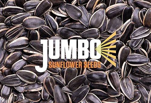 Miniatura 3 de Semillas de girasol Jumbo sin sal 55 onzas 12unidades