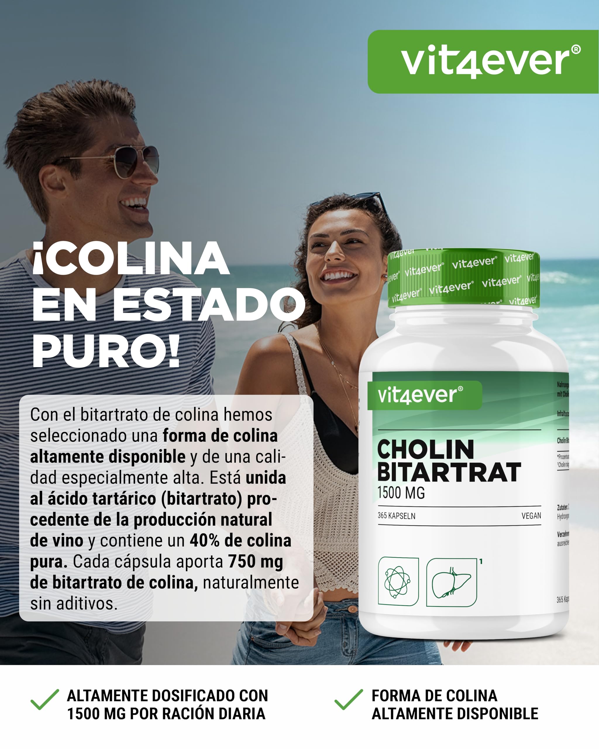 Cápsulas de colina – 365 cápsulas con 1500 mg de bitartrato de colina por dosis diaria – más de 6 meses de suministro – hígado, homocisteína y metabolismo de las grasas – natural, alta dosis, vegano