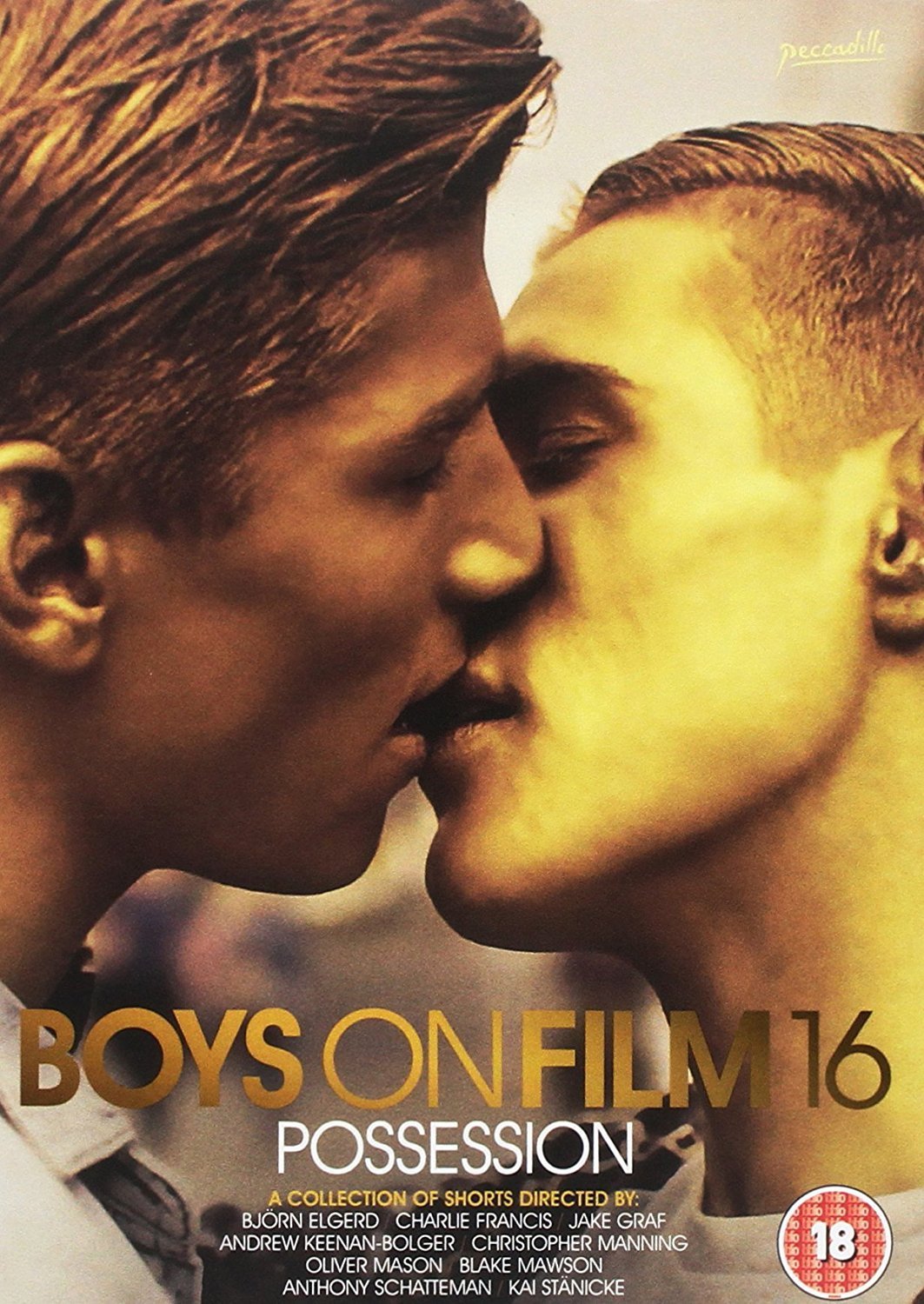 BOYS ON FILM 16: POSSESSION