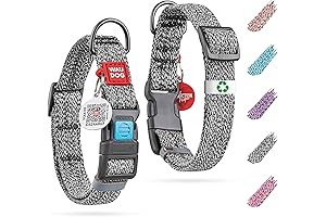 WAUDOG Break Away Dog Collar - Safety First