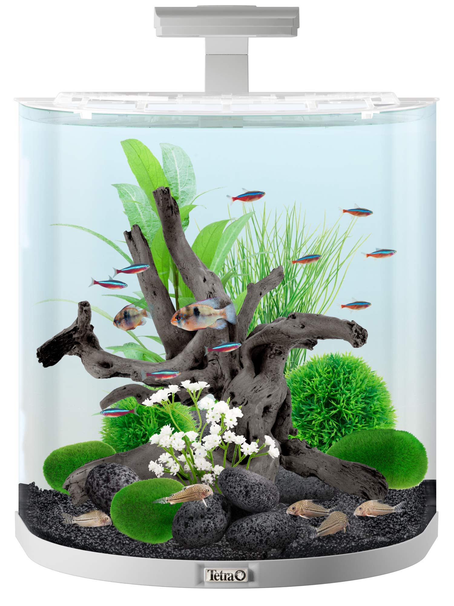 Tetra Aquaart Explorer Line Acquario, Bianco