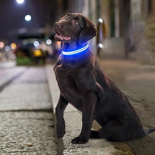 Miniatura 7 de Dolitego Collares de perro iluminados  Collares de perro recargables que brillan en la oscuridad, collar LED ajustable para perro, luces de perro