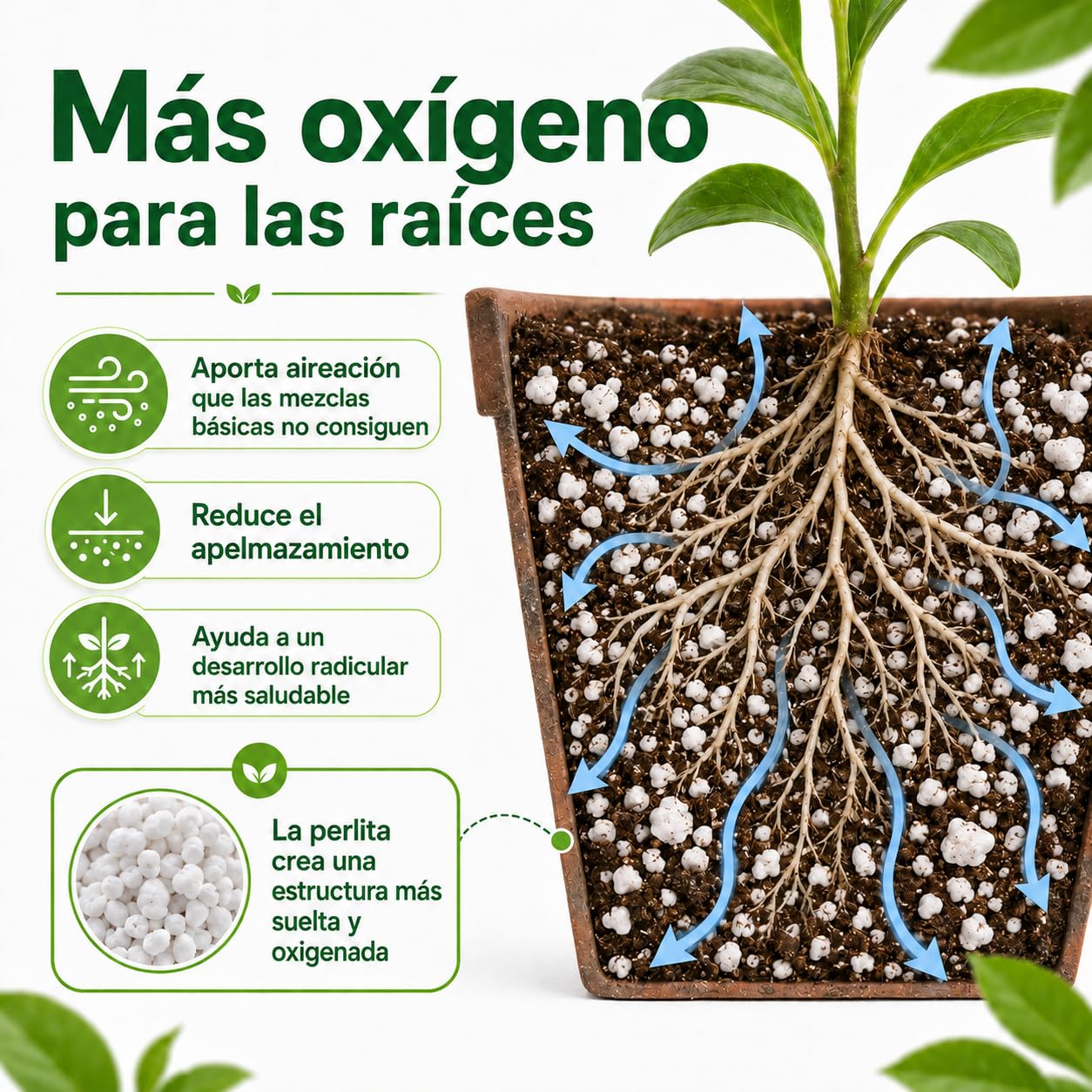 Perlita, Mineral para Mezclar con sustrato, válido para Cualquier Cultivo, Formato en Saco (40L)