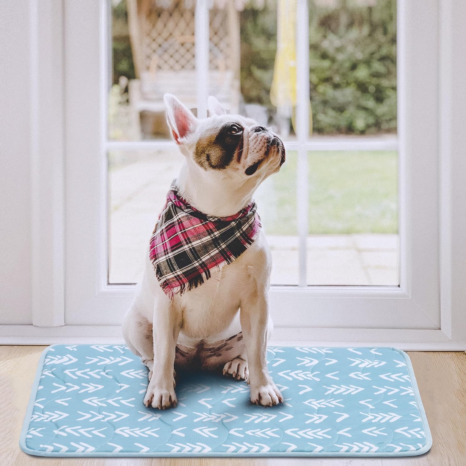 PEOPLE&PETS Dog Cooling Mat Cooling Pad for Pets Chilly Pad for Kennels, Crates, Cars, Indoor & Outdoor Ice Silk Mat Cooling Blanket…