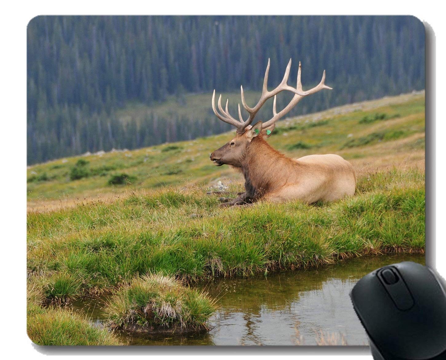 Gaming Mouse Pad Design,Deer,Rocky Mountains,United States -Stitched Edges