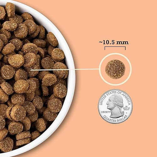 Miniatura 5 de ACANA Wholesome Grains - Receta para cachorros, alimento seco de alta calidad con alto contenido de proteínas, 11.5 libras
