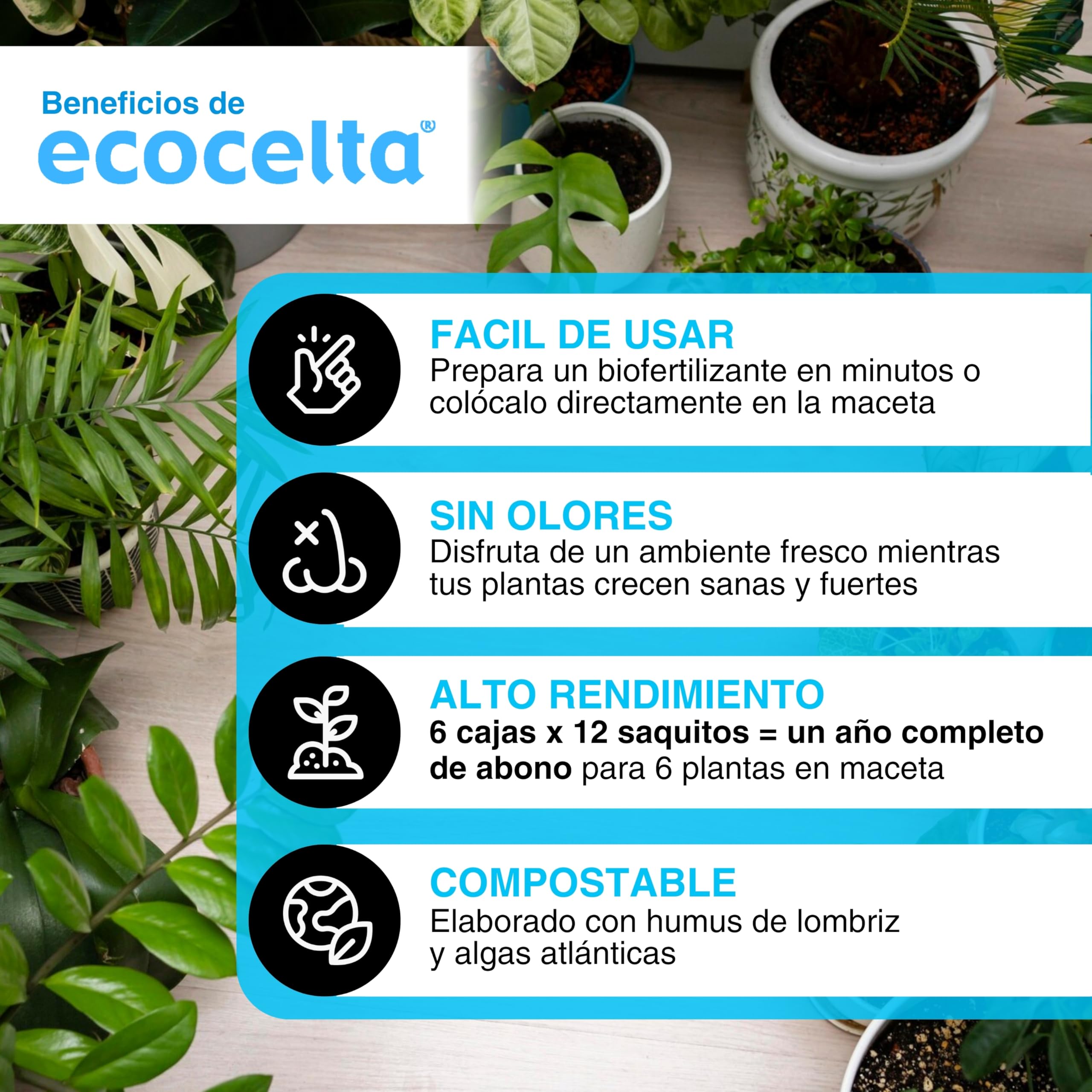 ECOCELTA | Humus Tea Bags Pack X 6 Cajas (72 Saquitos) | Abono Ecológico para Plantas en Maceta | Infusión Fertilizante Natural y Uso Directo | Riego y Pulverización | Sin Olores 100% Biodegradable