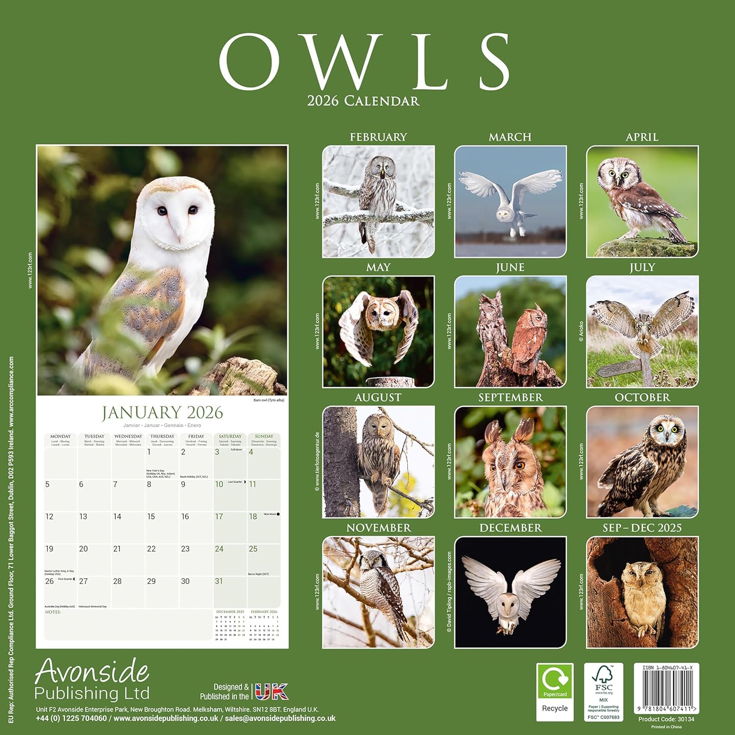 Bird Animal Theme Calendar RSPB Owls, 2026 Slim Wall Calendar By ...