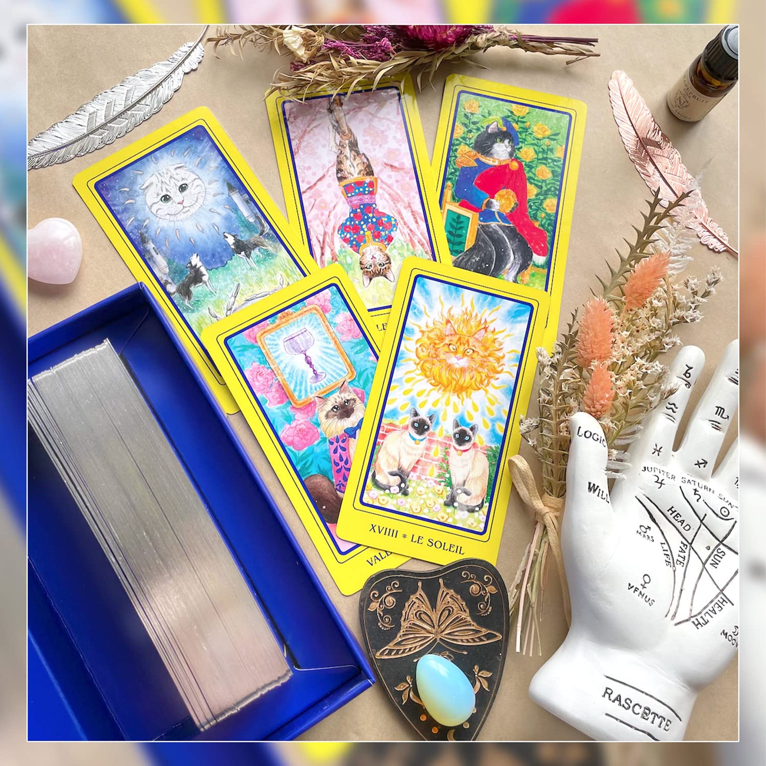 Amazon.co.jp: Tarot Cat [Official Product] [Includes Japanese
