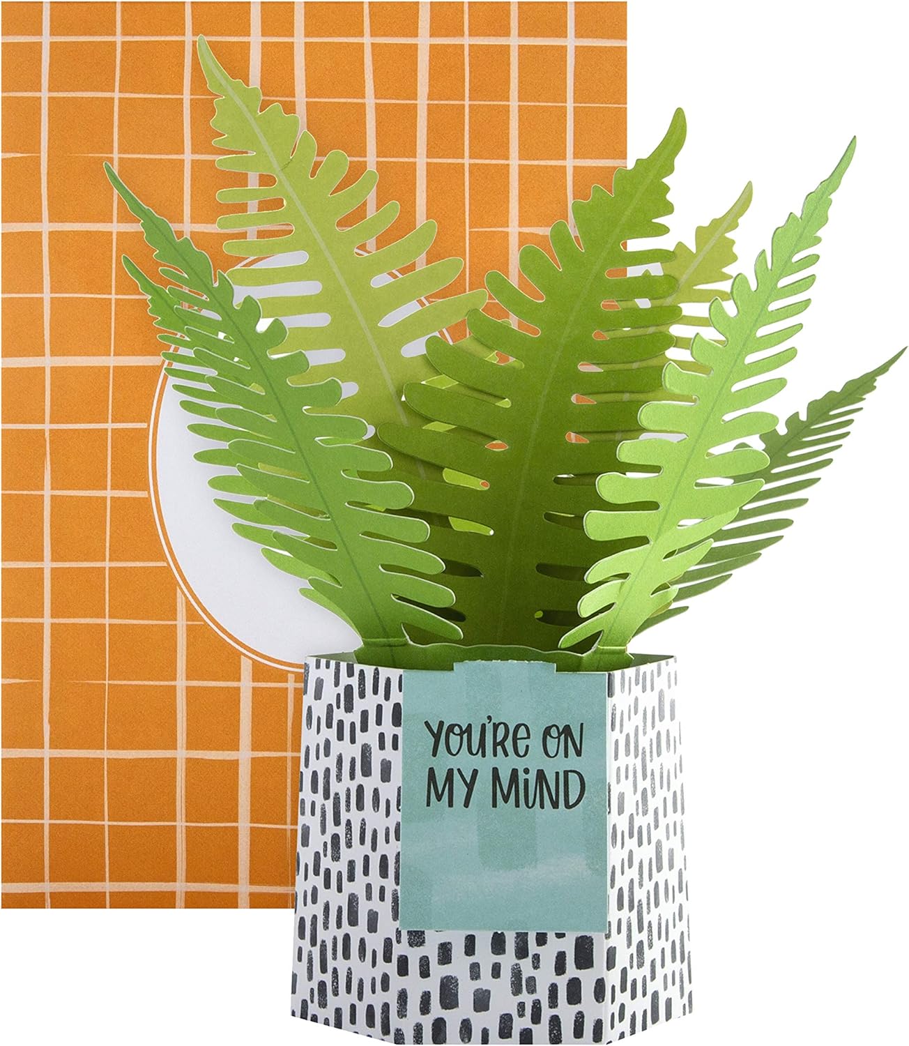 Hallmark Pop Up Card - Contemporary Zebra Plant Design,grey