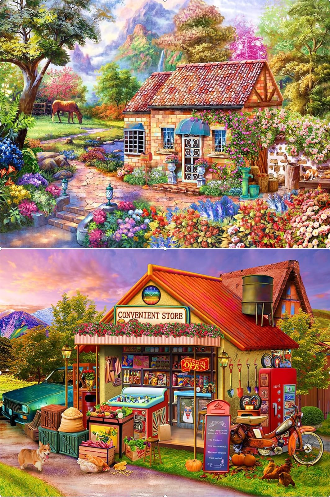 Tabeskly E 2 Pack Beautiful Countrysid Scenery 5D Diamond Painting Kits For Adults Brid Kids Full Dimond Art Pictures Set