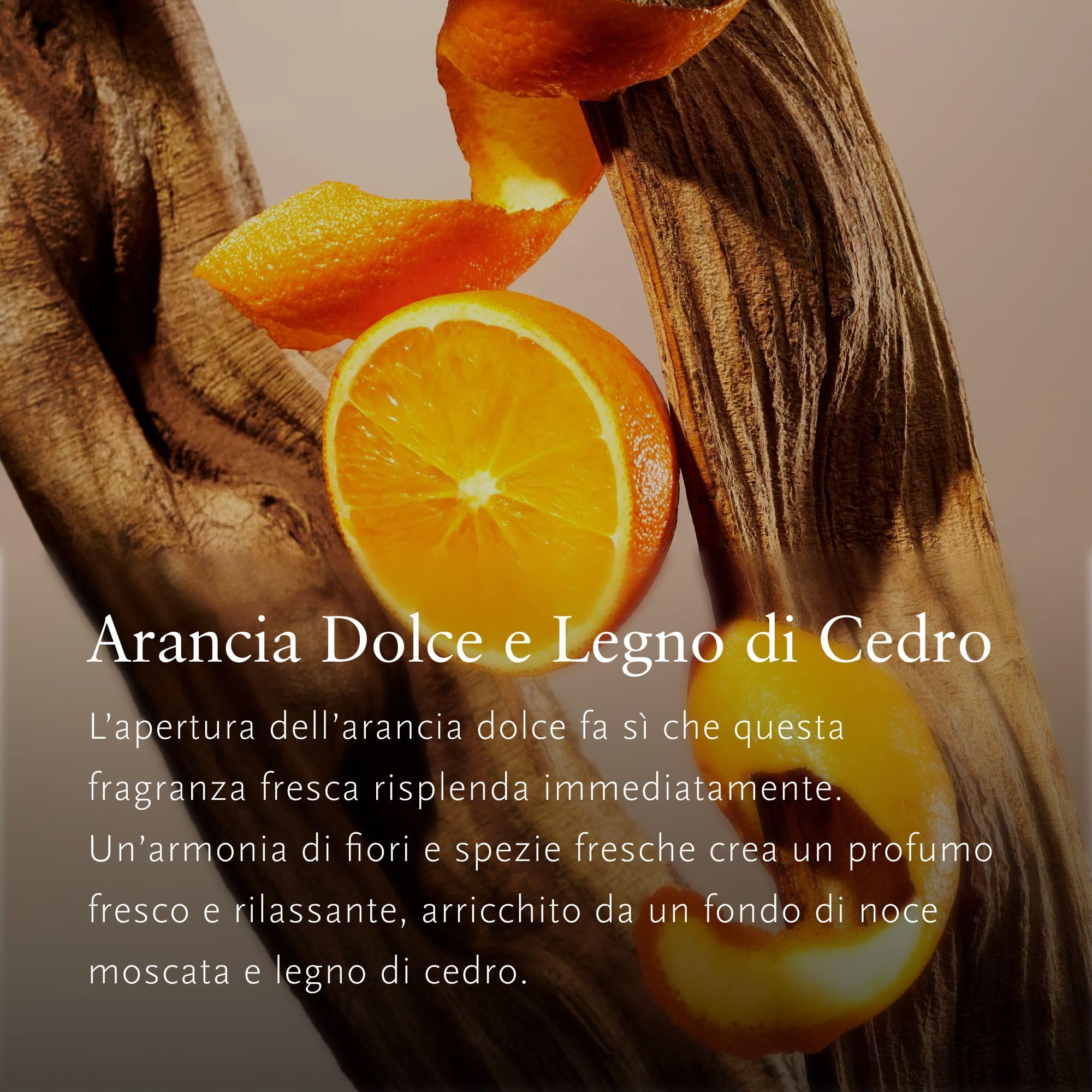 RITUALS Difusor de Barritas 1x Repuesto The Ritual of Mehr - Recarga Doble – Barritas Aromáticas con Naranja Dulce y Madera de Cedro - Fragancia Energizante para el Hogar - 1x 500ml