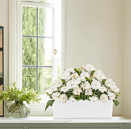 Miniatura 6 de GardenBasix - Macetas alargadas de riego automático de 2 unidades, caja de ventana de 5.5 x 16 pulgadas, maceta decorativa moderna para jardín en el