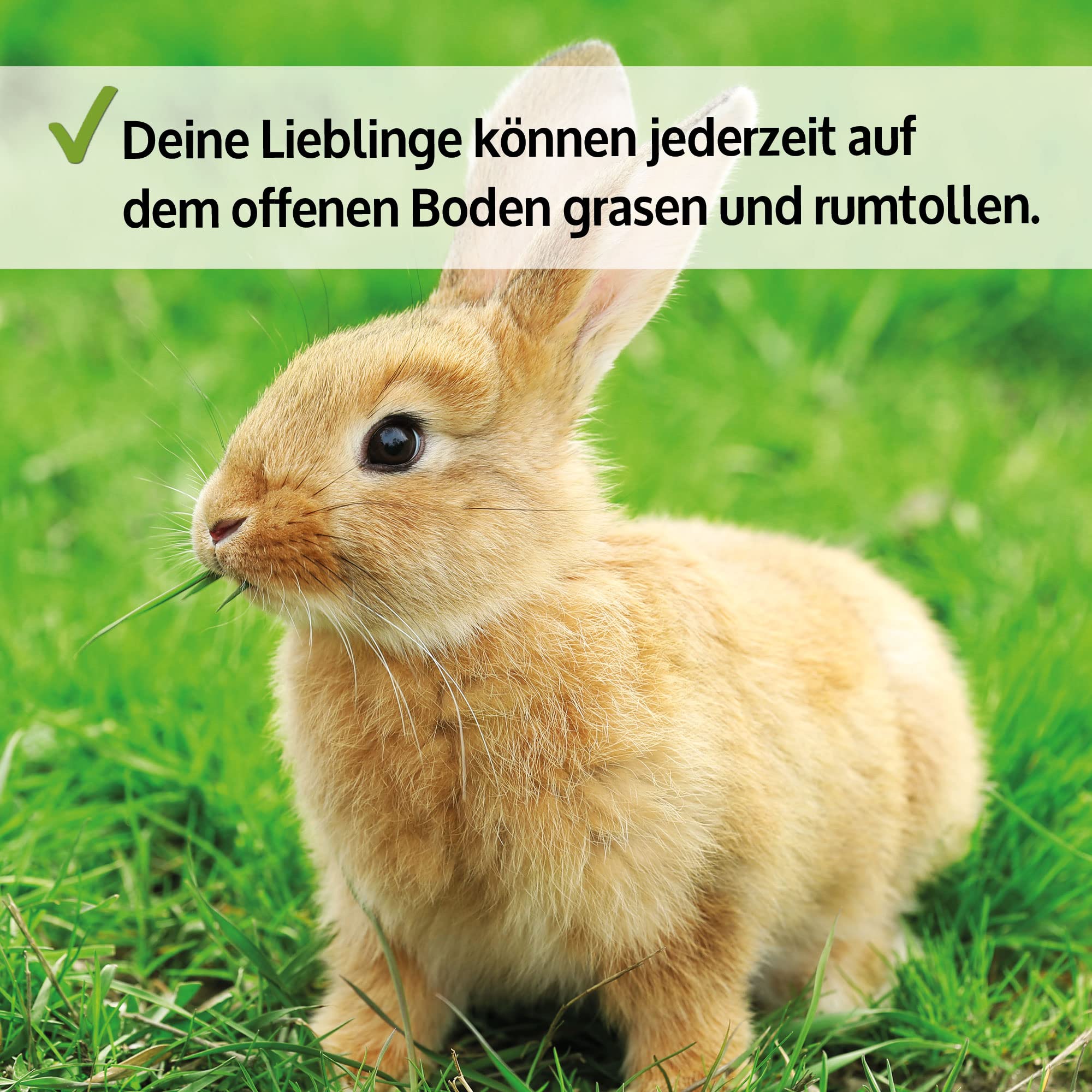 zooprinz Hasenstall Jumbo 3-stöckig – Kaninchenstall aus Vollholz