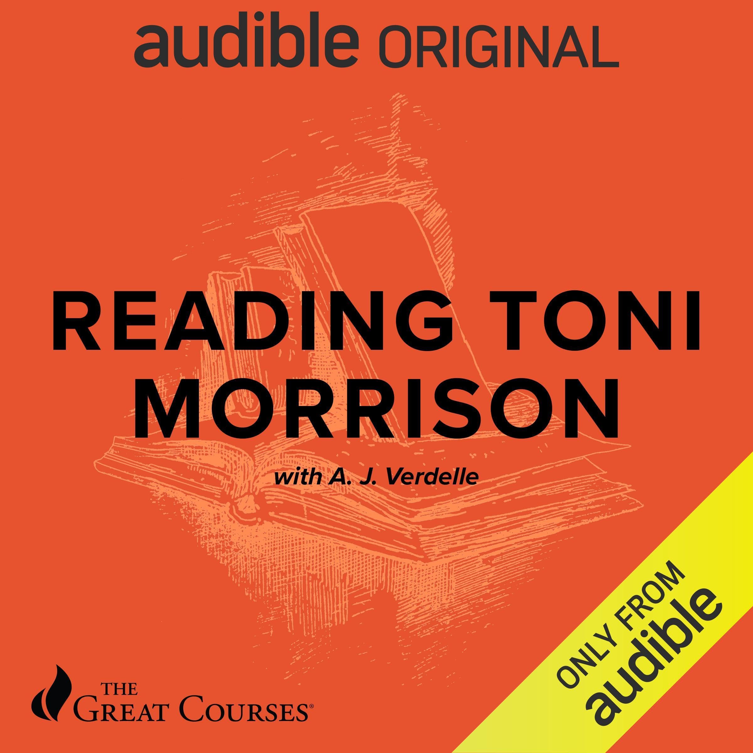 Cover art for Reading Toni Morrison