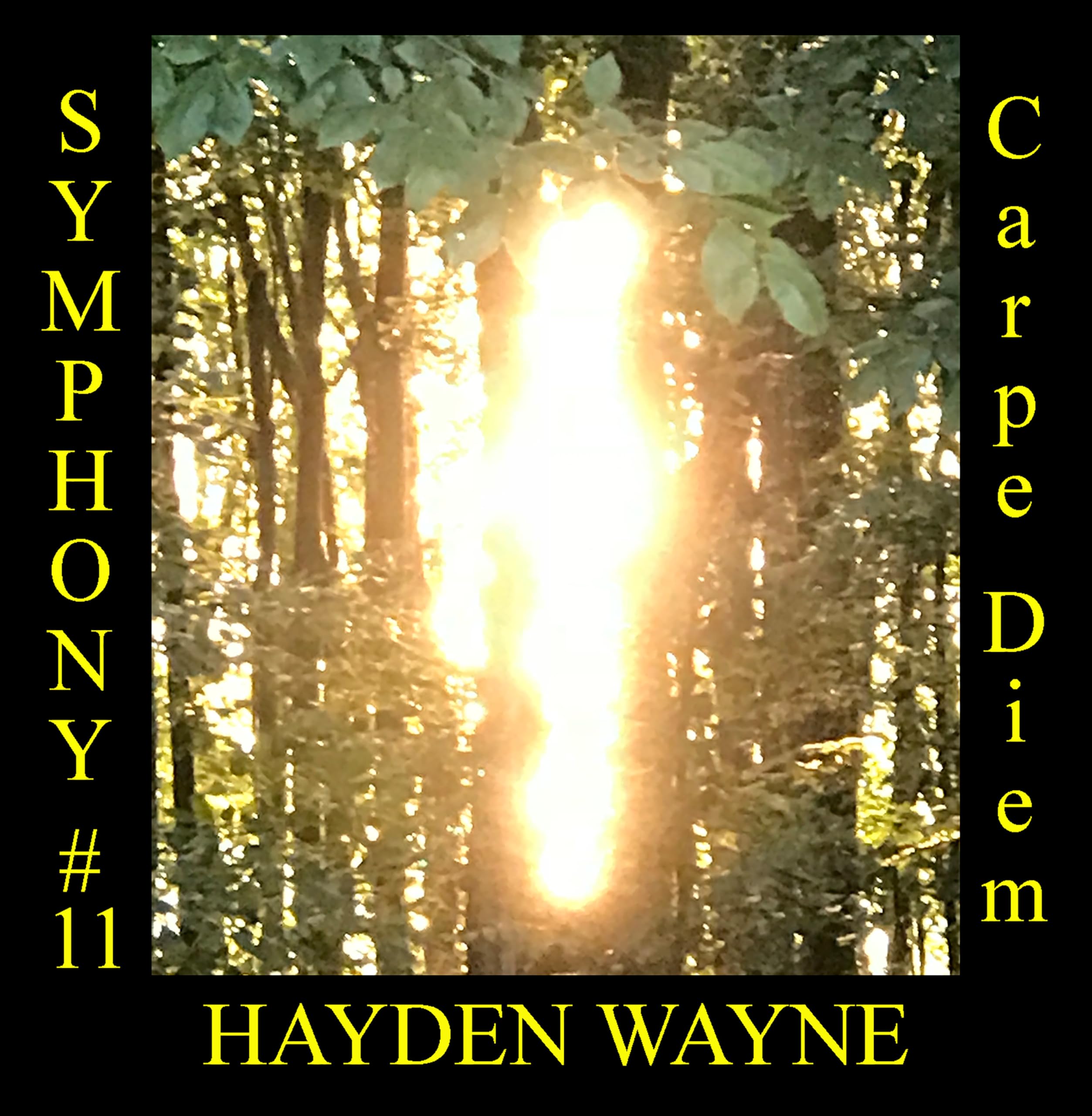 Hayden Wayne Symphony #11: Carpe Diem CD New 760137157380