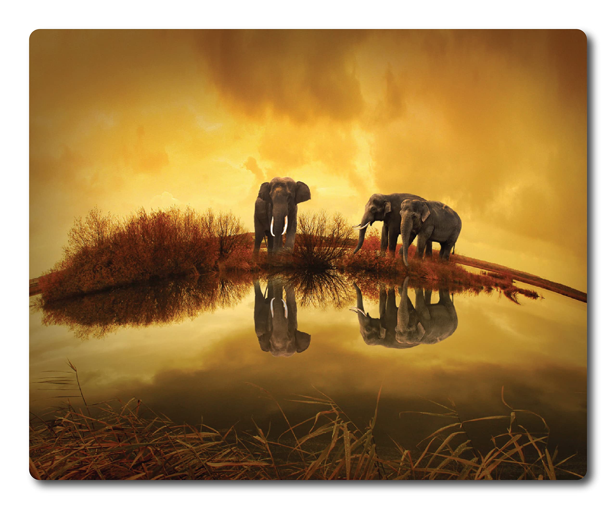 Woopme® Elephant Animal Theme Printed Mouse Pad Compatible for Laptop Computer Desktop PC Girls Kids Gaming Non Slip Rubber Base L x H 24 x 20 CMS (B09PTXVPSX) Amazon Price History, Amazon Price Tracker