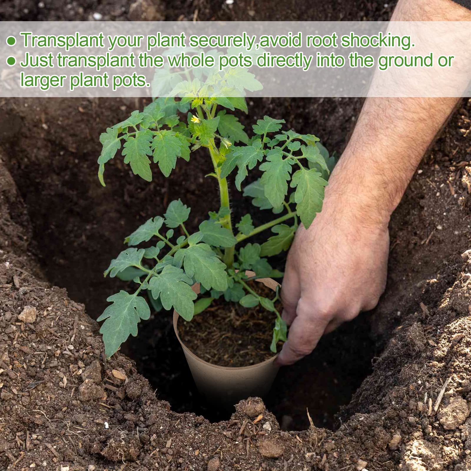 HXSEMAYIG 100 Stück Torftöpfe, 8,9 cm Samen-Starttöpfe mit Entwässerungslöchern, runder Kinderzimmertopf, Gartenkeimung, Kinderzimmertopf, Bonus 20 Pflanzenetiketten