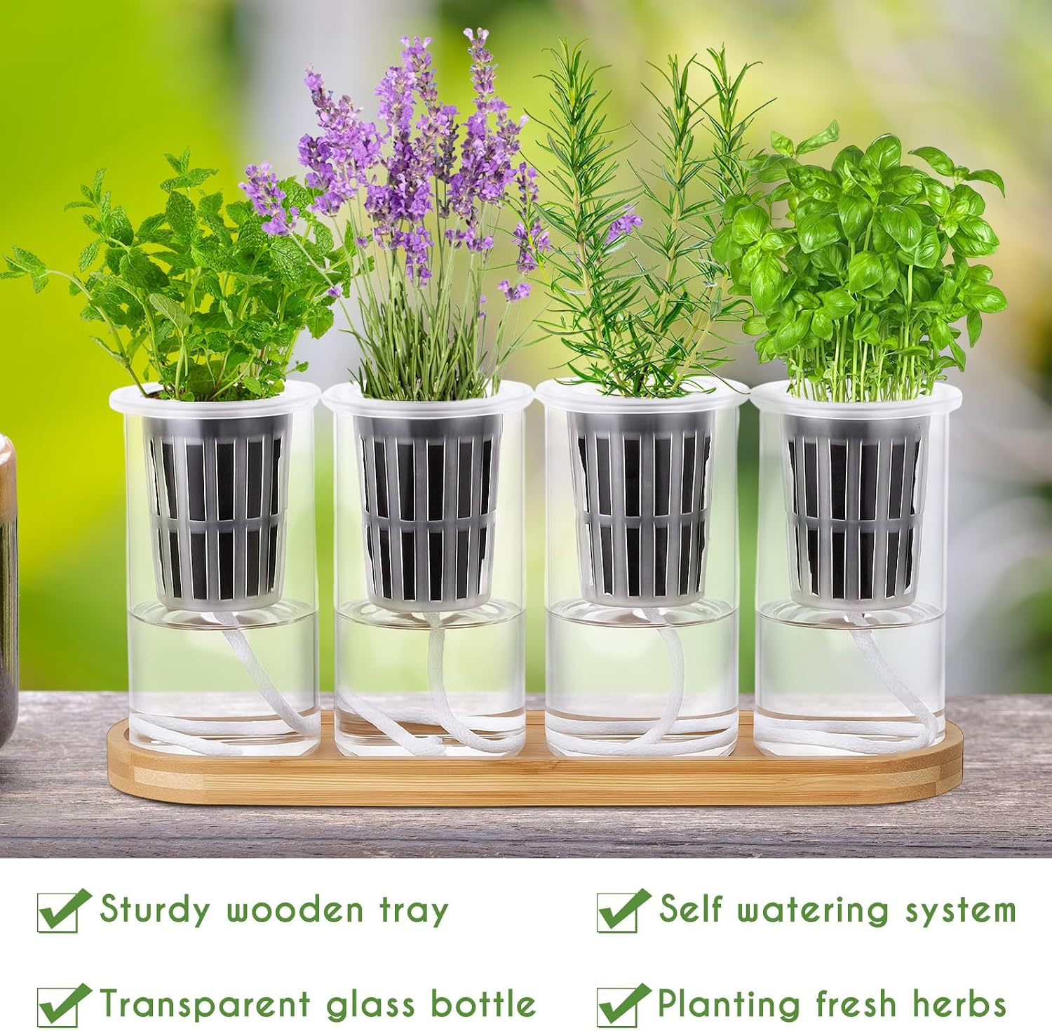 Teenyyou 8 Pcs Hydroponic Herb Planter Growing Kit Self Watering Glass Vase with Wooden Stand Herb Garden Starter Kit for Propagating Hydroponic Plants Centerpiece Office Home Garden Decor
